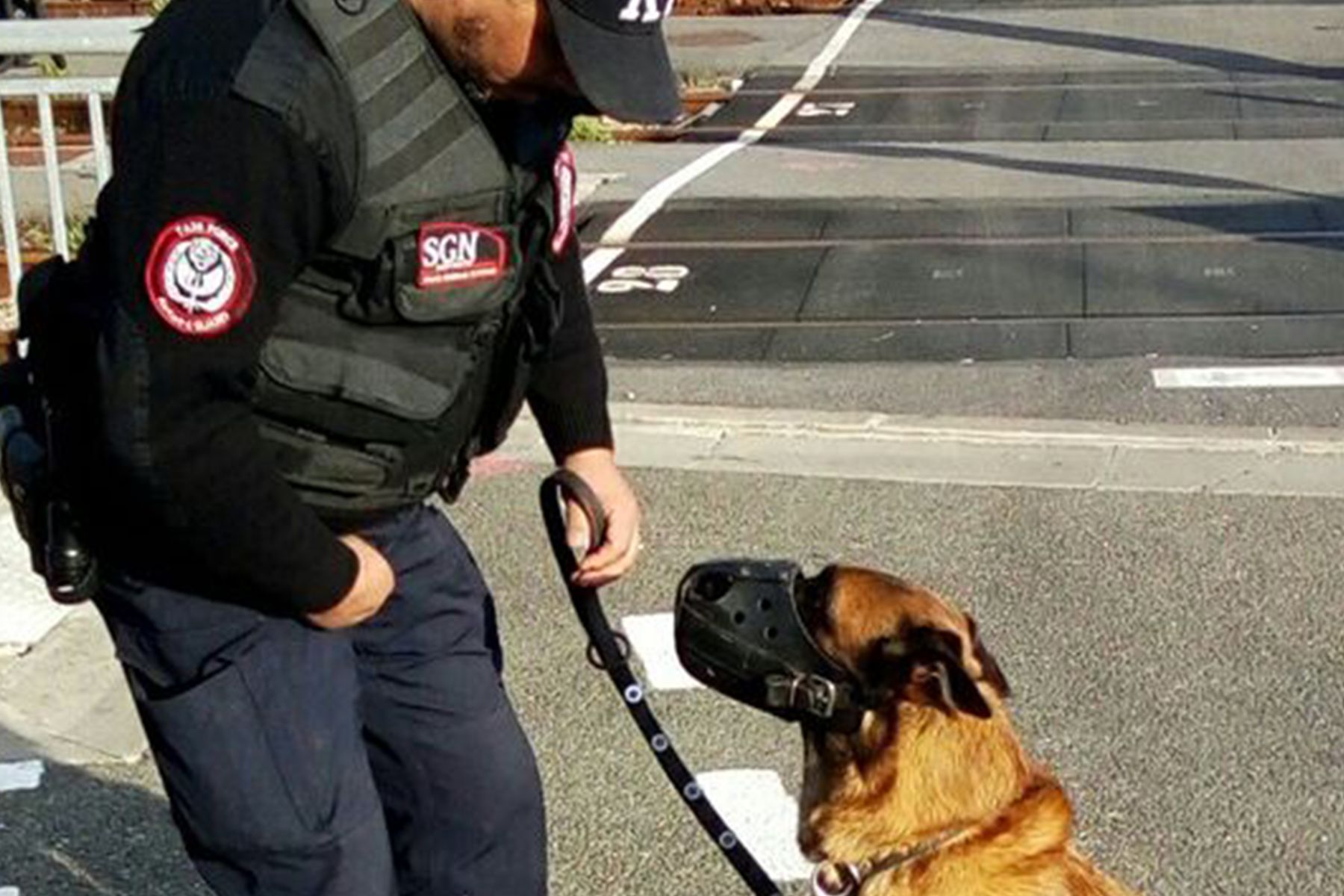 SGN Bodyguard — Agent de sécurité cynophile